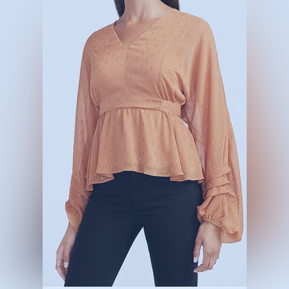 Metallic Clip Dot Tie Back Balloon Sleeve Top -worn twice - Picture 1 of 8